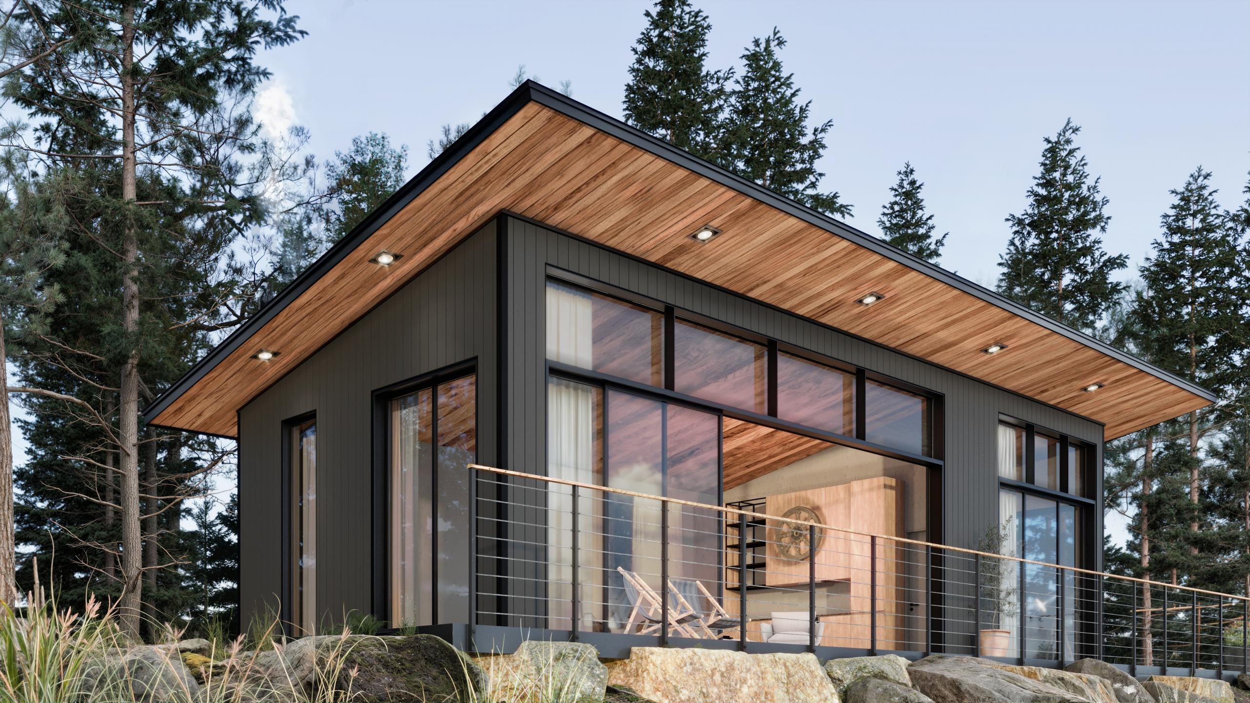 Modern cabin with dark vertical siding and warm wood-tone soffits